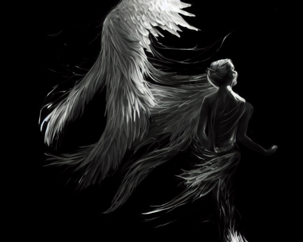 Angel wings in darkness symbolizing freedom or transformation