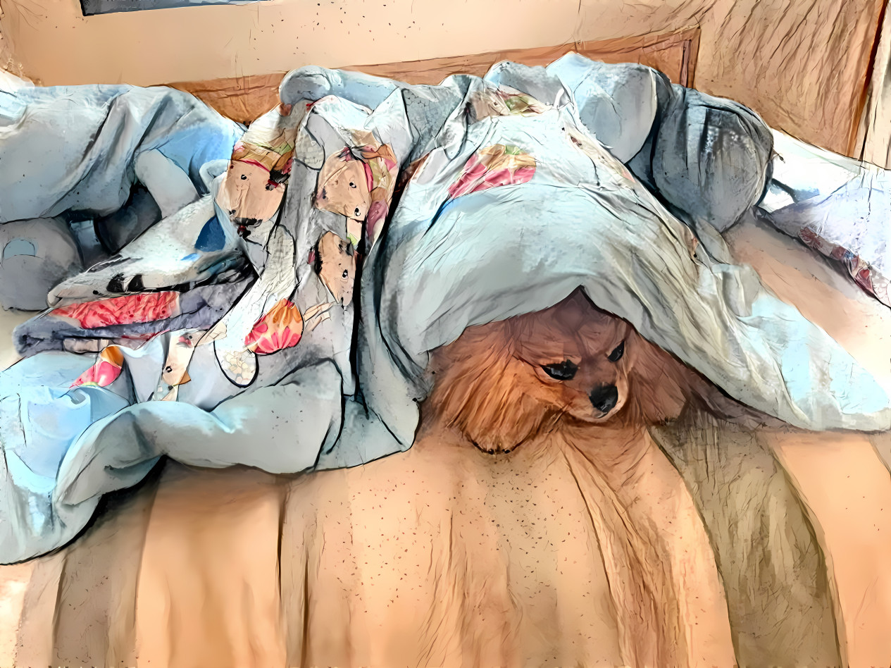 Yoda - Hiding under his futon