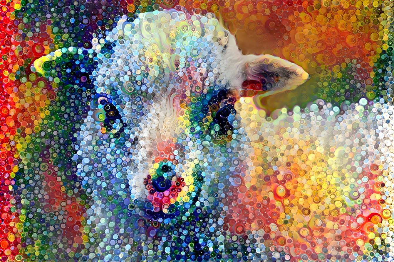 little sheep