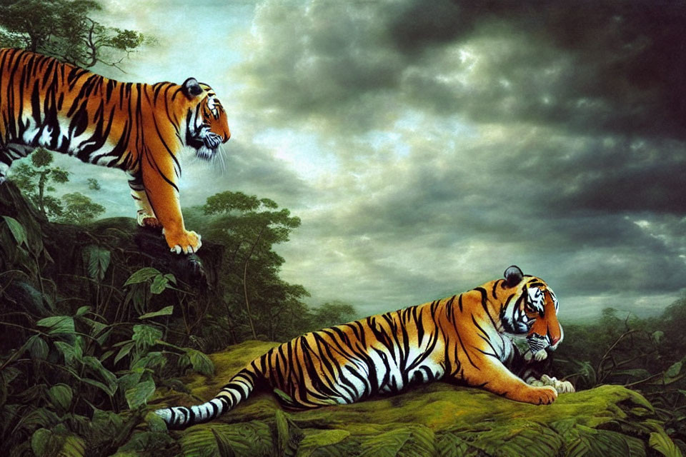 Two Tigers in Lush Jungle with Cloudy Skies