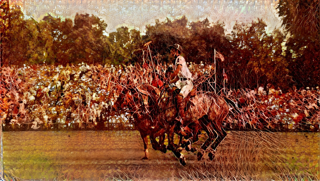 Polo at Windsor