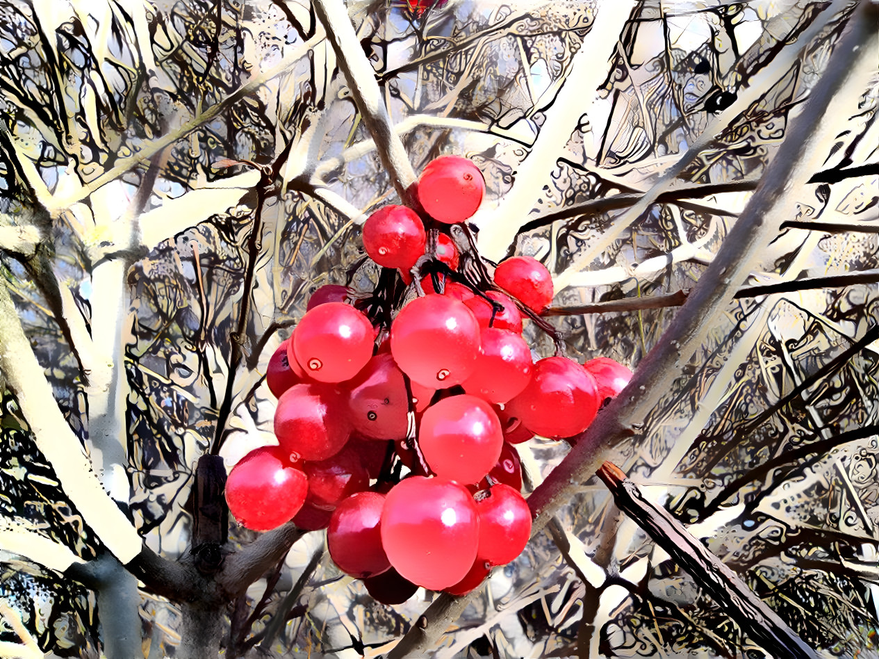 winter fruits 