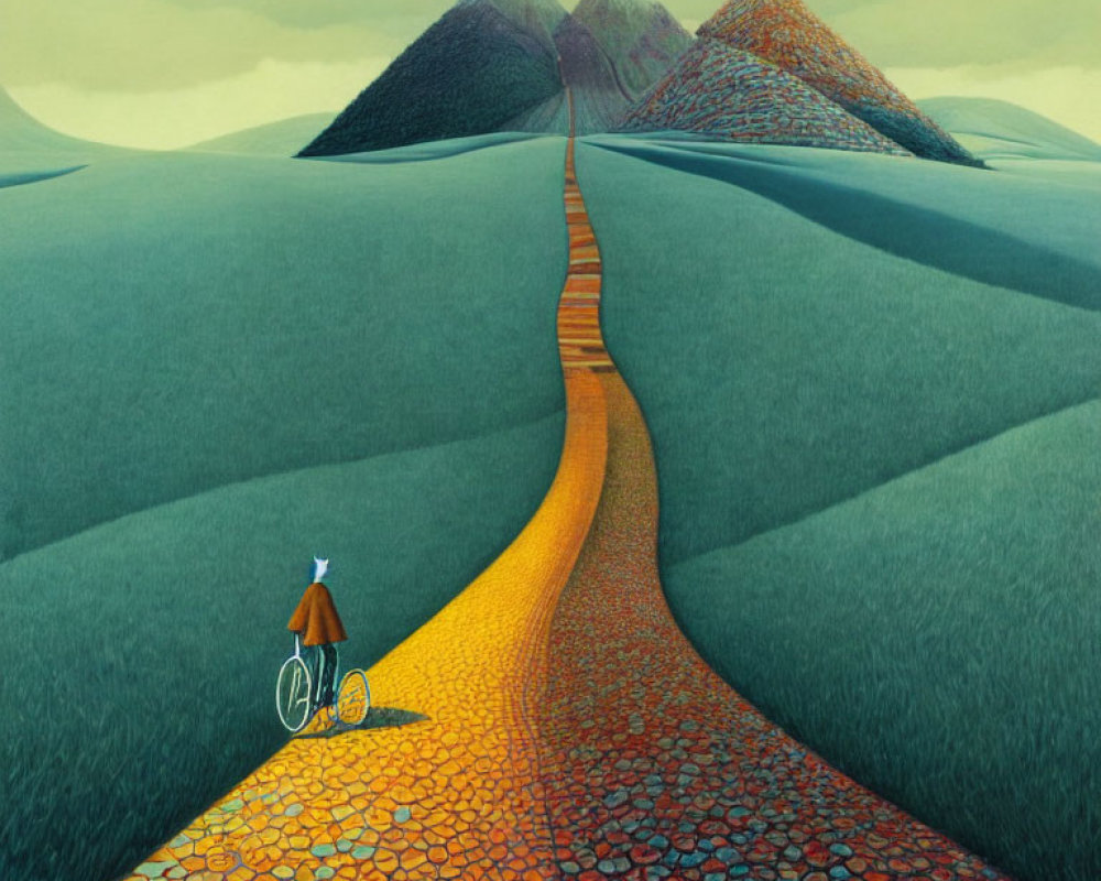 Bicycle rider on colorful stone path towards distant mountains