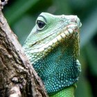 Colorful Stylized Image: Green Lizard in Fantasy Landscape