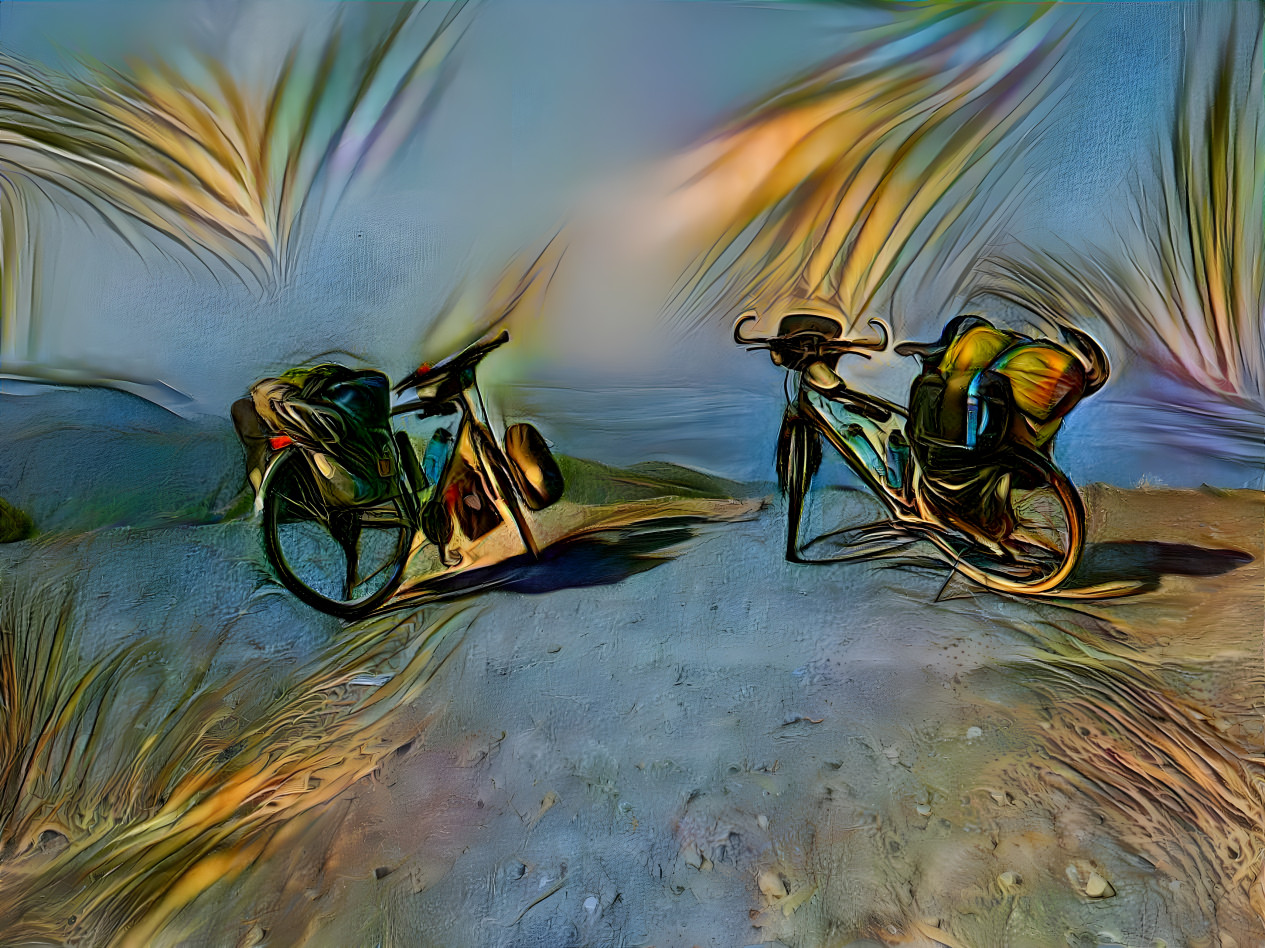 Biketouring.the.world