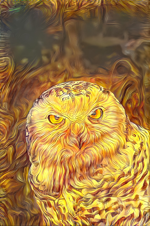 The Golden Owl