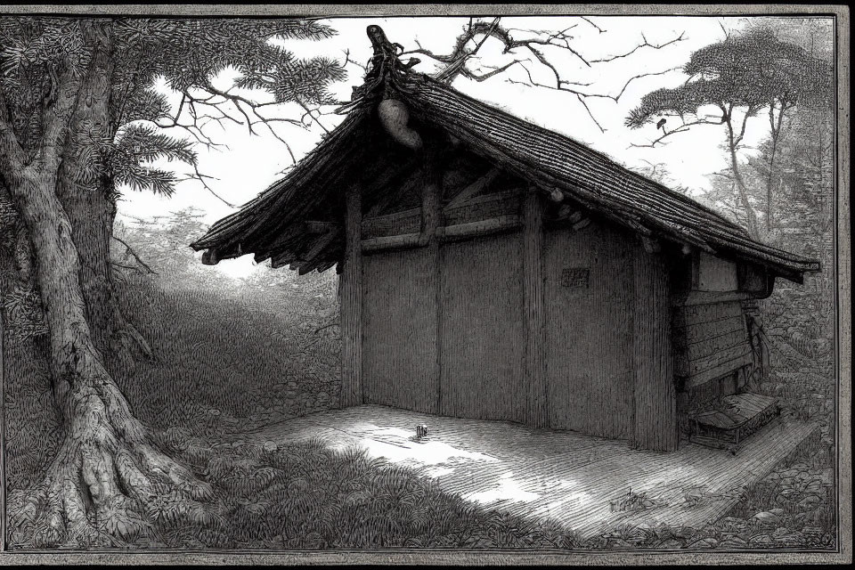 Detailed etching of wooden shack in forest landscape