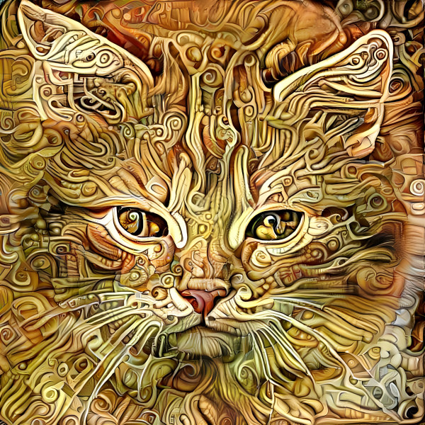 chat roux doré