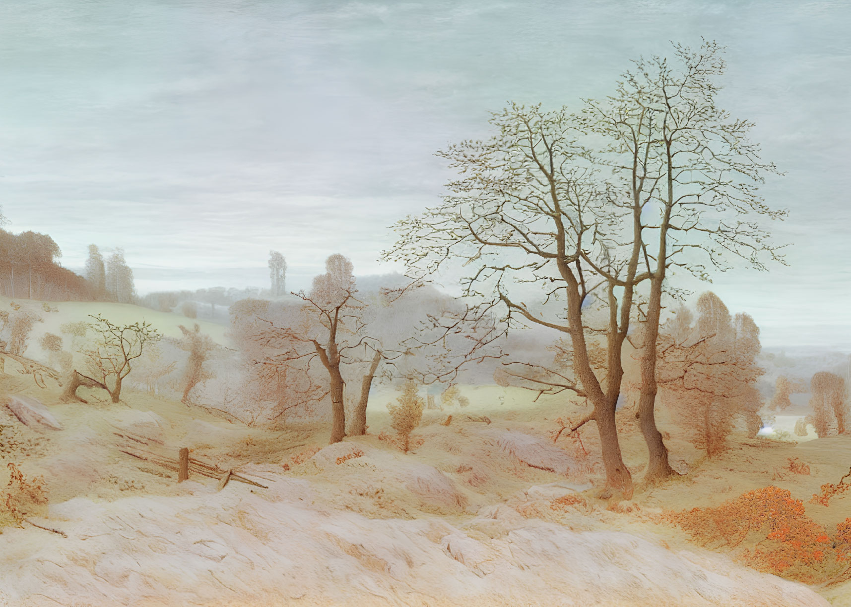 Tranquil winter landscape: bare trees, frost-covered ground, pale sky