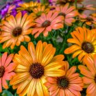 Colorful orange and pink flowers with green foliage and purple accents.