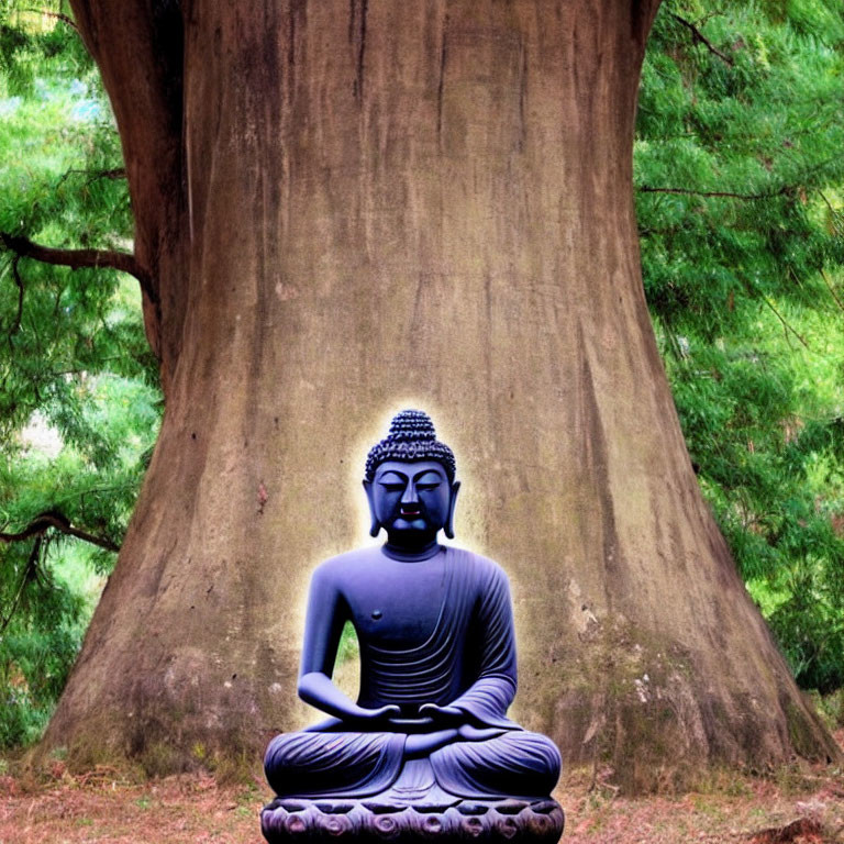 Serene Buddha statue meditating under lush tree.
