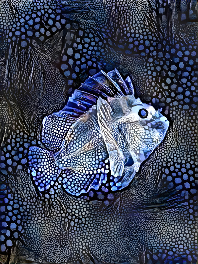 Glass Fish in Blue