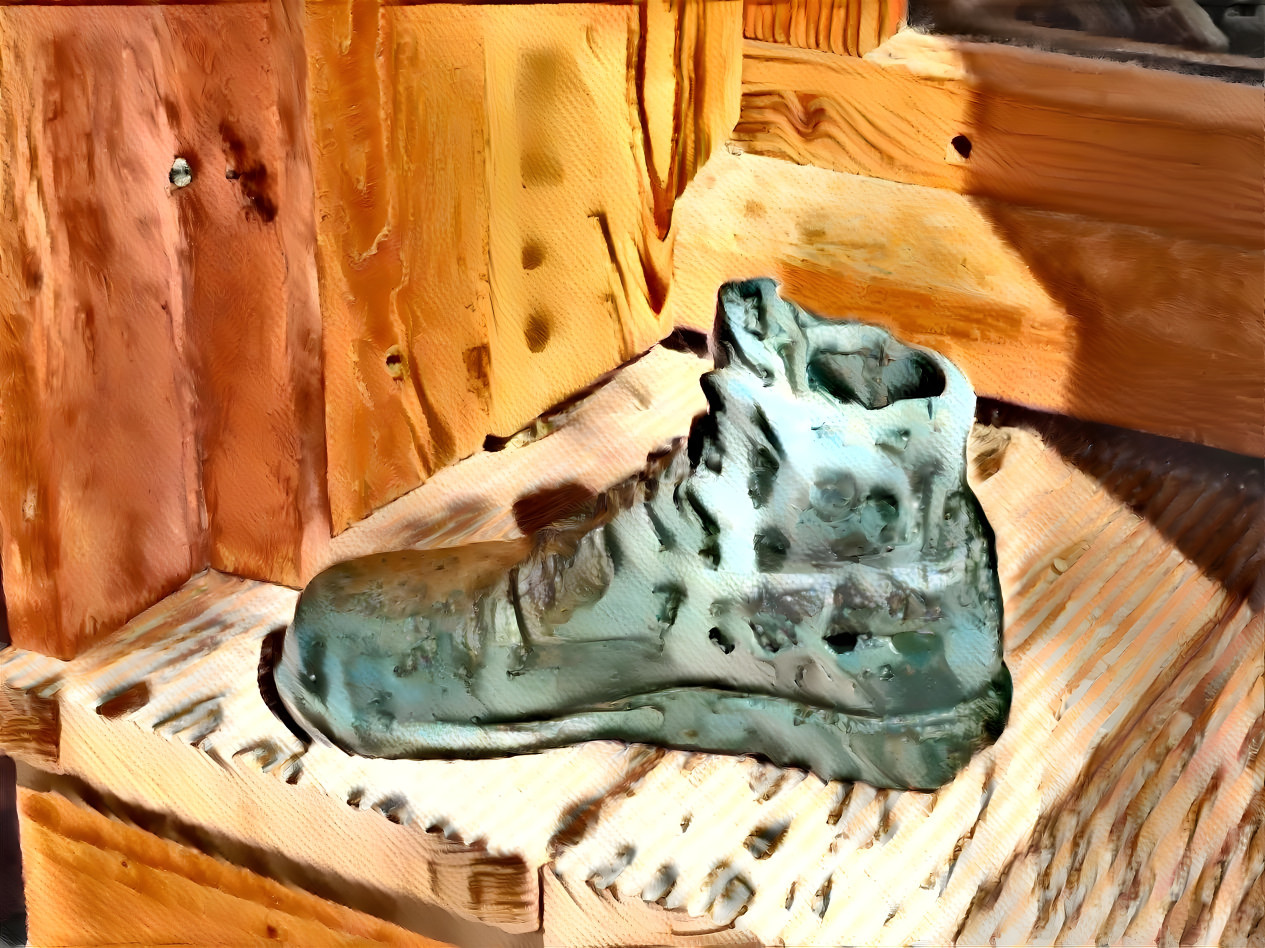 shoe dream 1