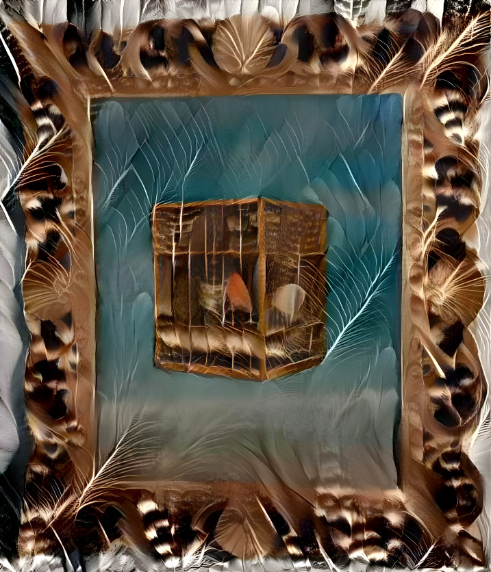 Framed Feather box