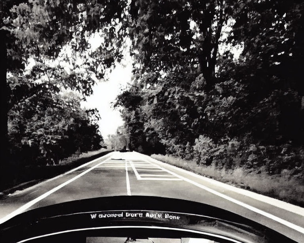 Monochrome photo from car interior overlooking tree-lined road with text overlay.