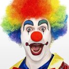 Colorful Smiling Clown with Frizzy Wig and Red Nose