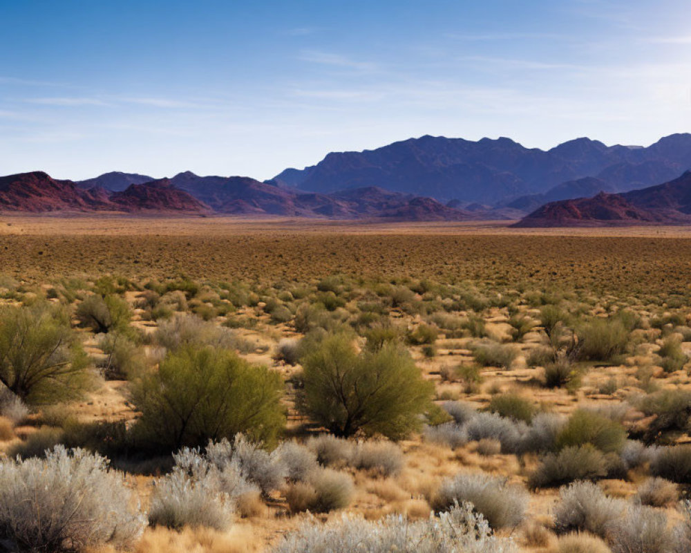 Desert Landscape with Blue Sky and Mountain Range