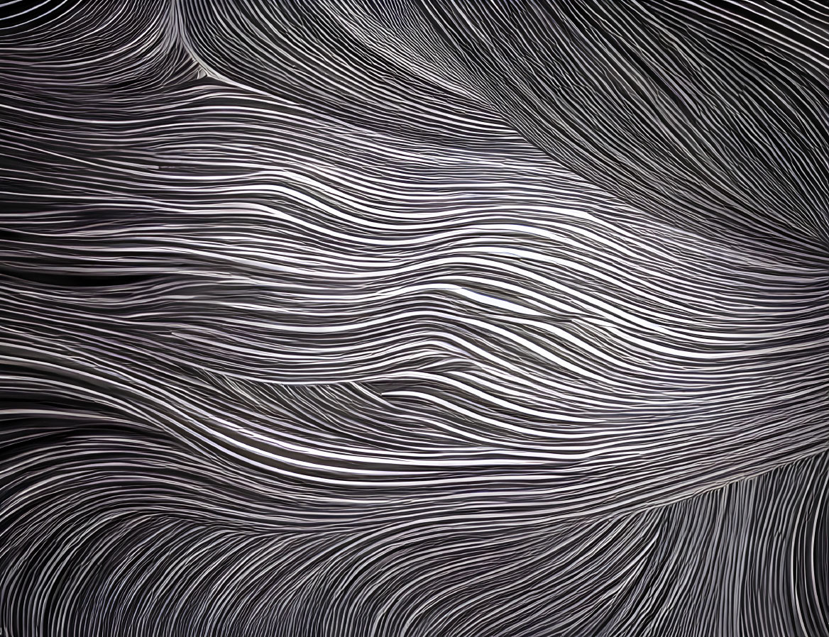 Monochrome abstract art with flowing wave-like lines