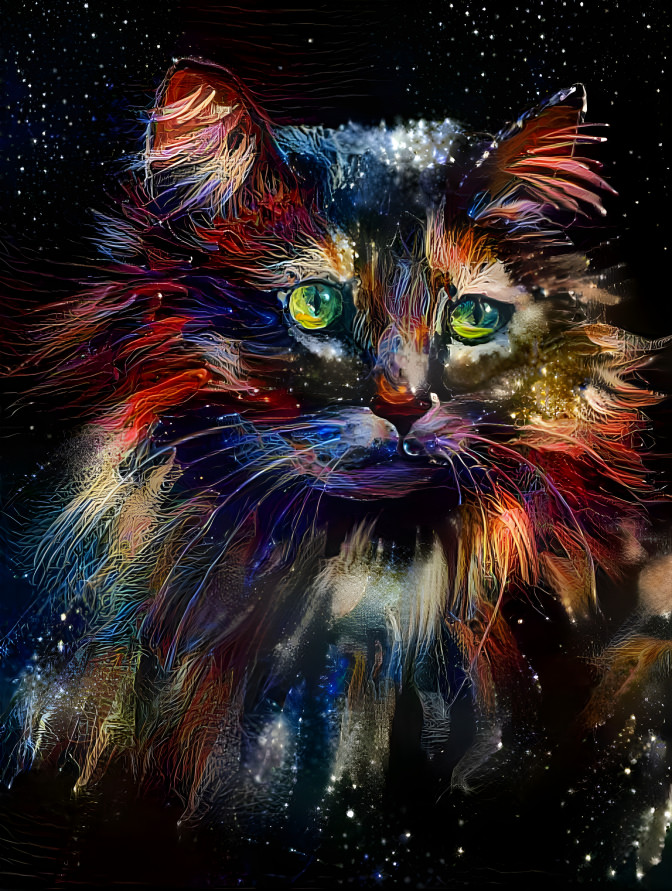 Feline Amongst The Galaxy 