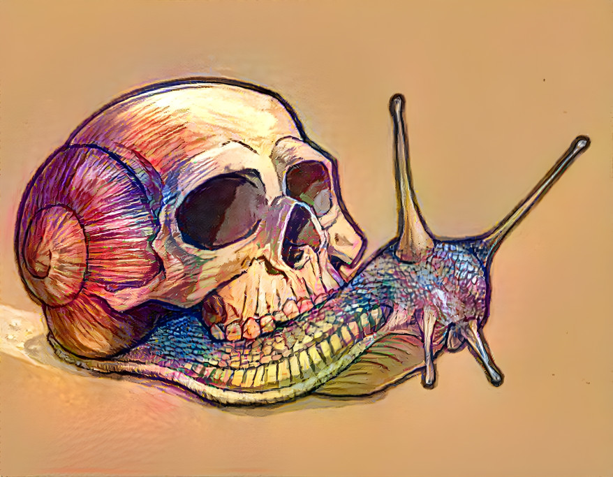 Skully Snail