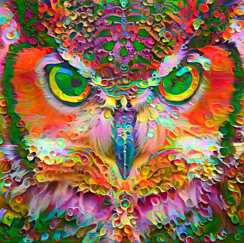 The Colorful Owl