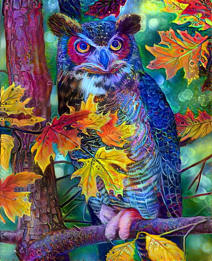 Owl In The Fall