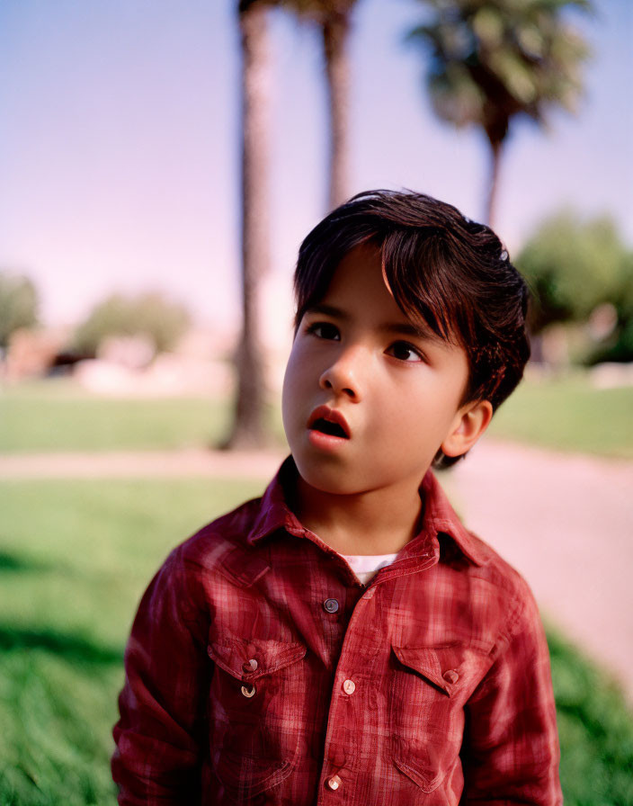 Young child with dark hair in red checkered shirt outdoors among palm trees