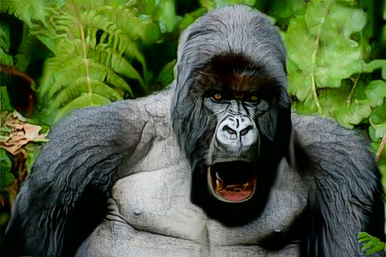 Gorilla ( горилла )