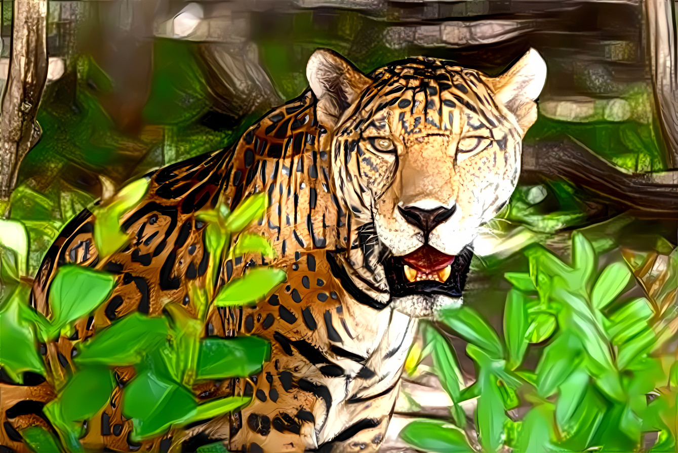 leopard ( леопард )