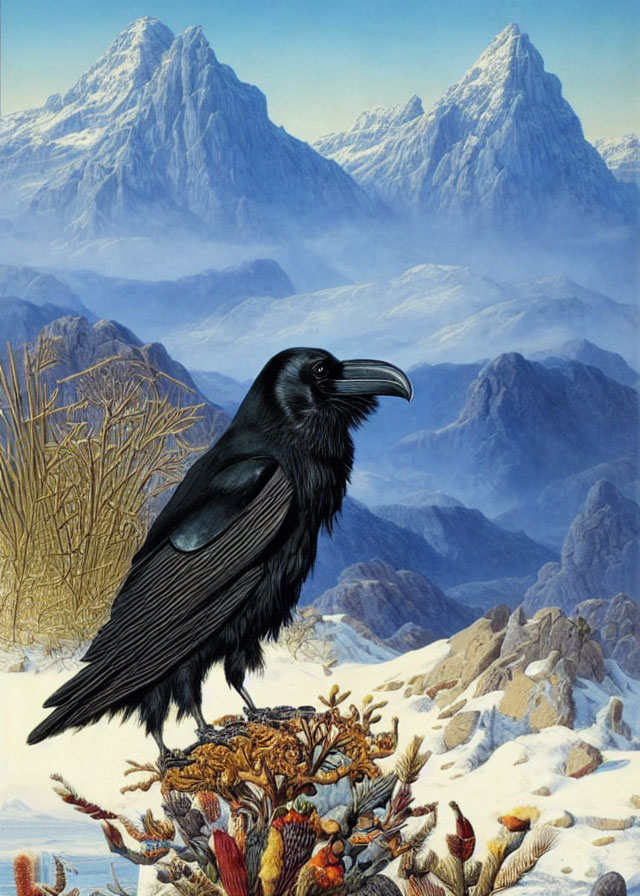 Crow perched on nest in snow-capped mountain landscape