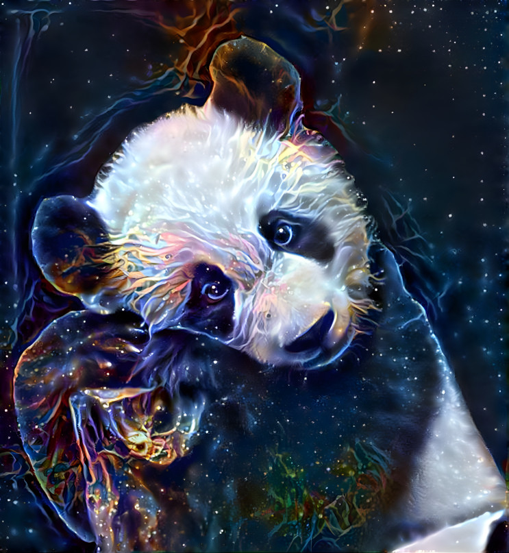 Baby Panda II