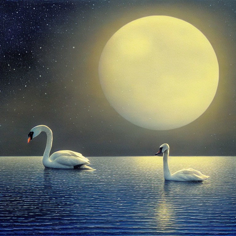 White Swans on Blue Lake with Full Moon & Starry Sky