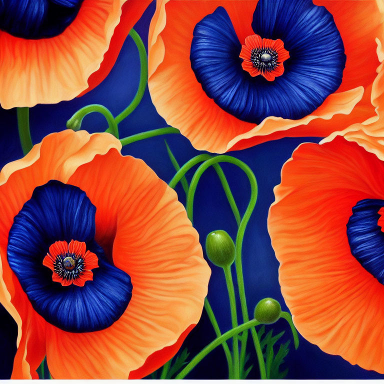 Vibrant orange-red poppies with blue-black centers on deep blue backdrop