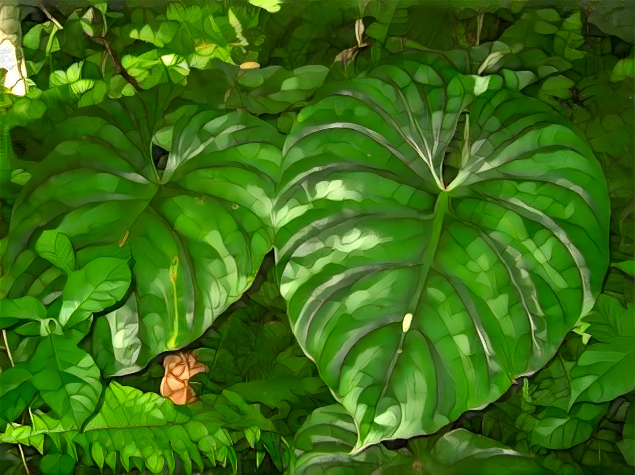 Phylo Leaves