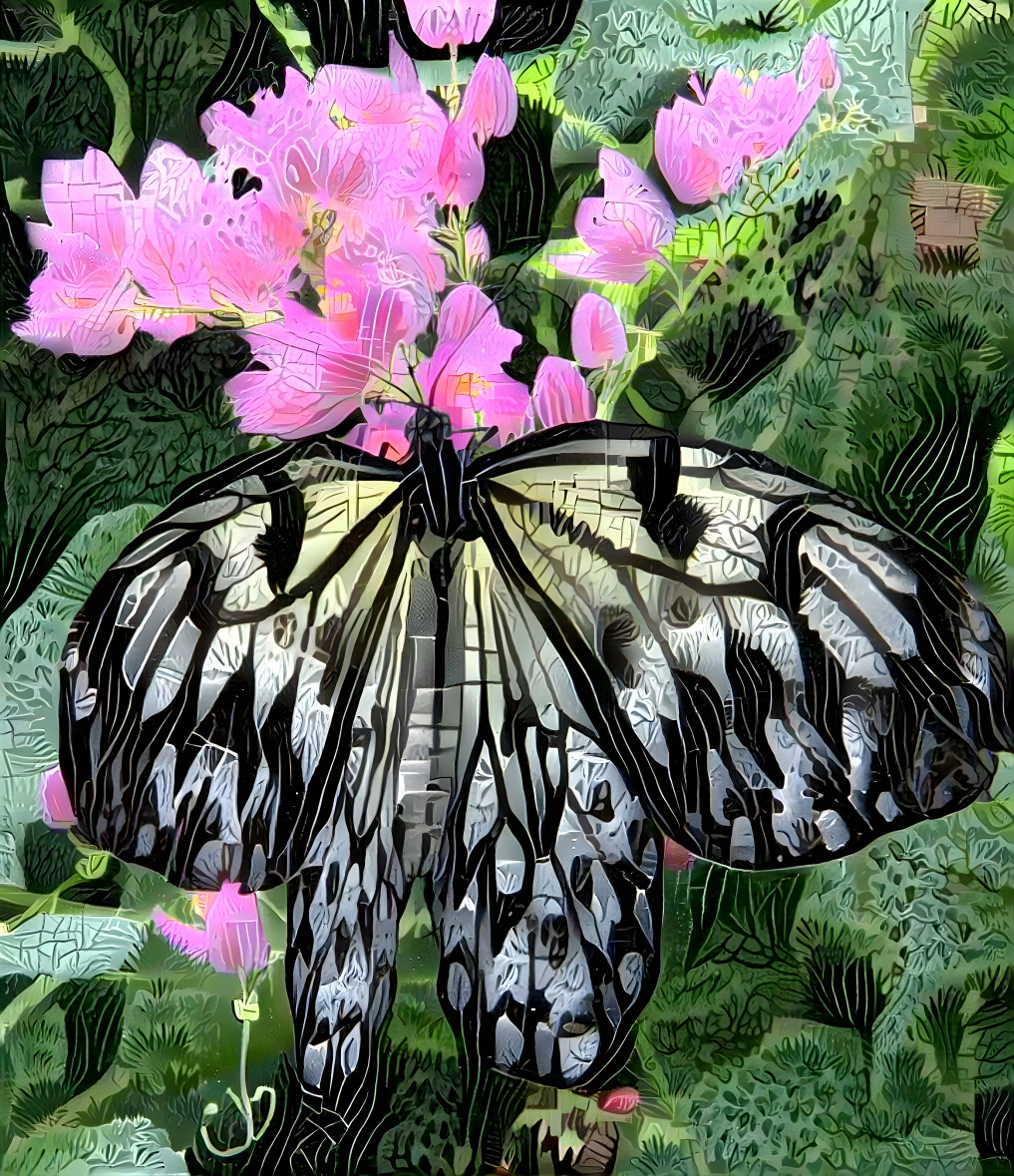 Butterfly on Penta