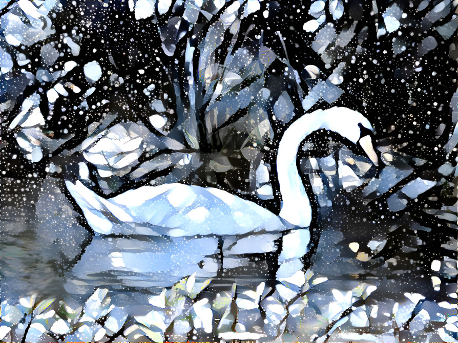 Snow Swan