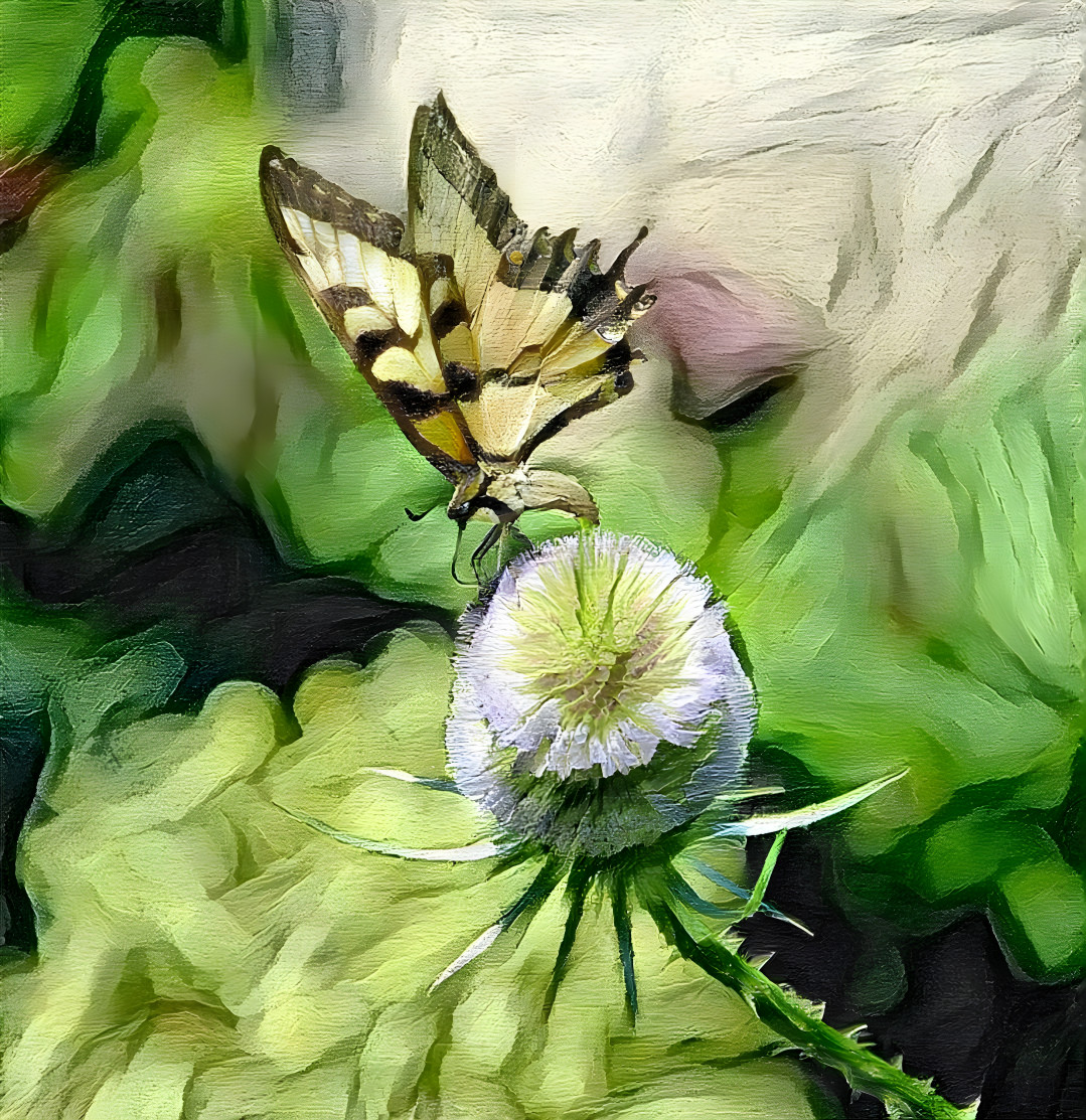 Memory of a butterfly and thistle