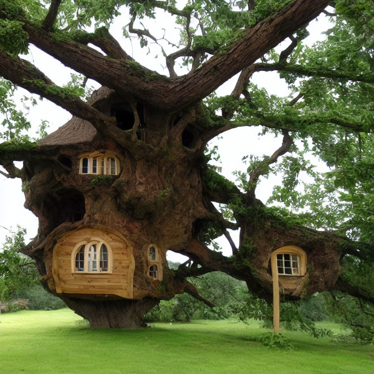 Whimsical treehouse with round windows in lush green meadow