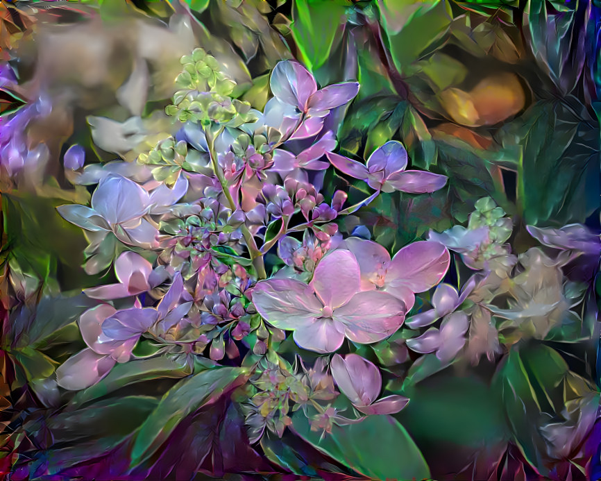 Blooming Hydrangea