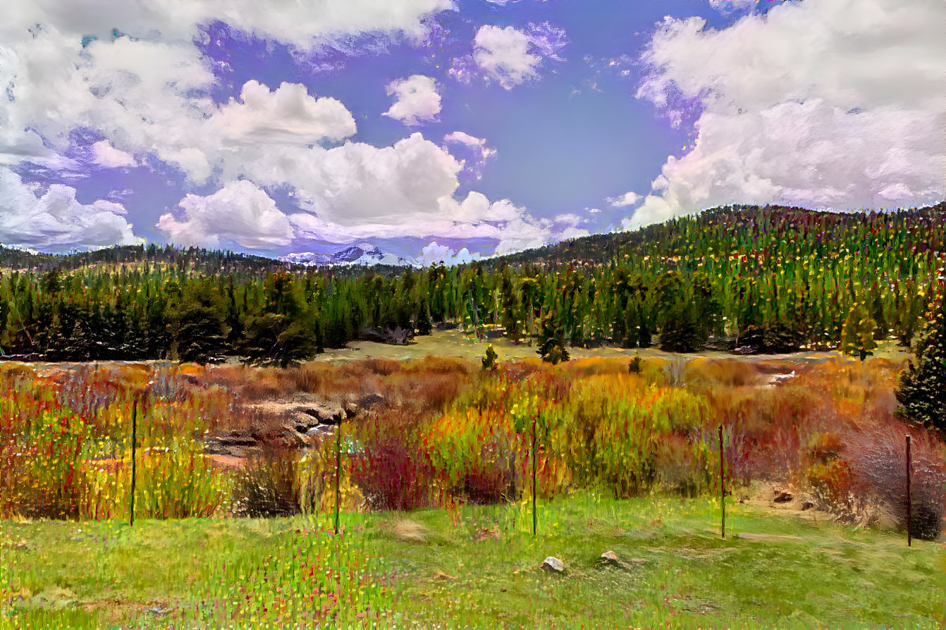 Meadow in the Rockies 