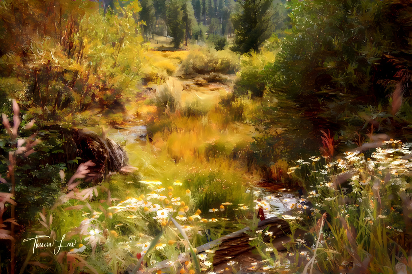 Meandering Stream in the Meadow