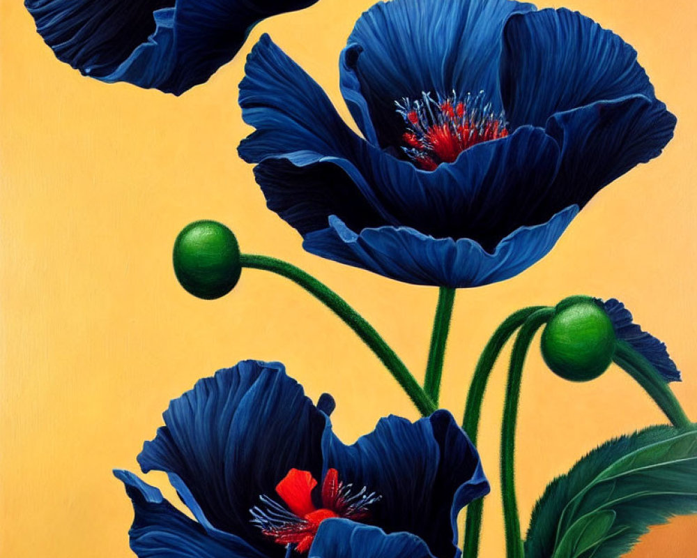 Vibrant blue poppies with red stamens on yellow background