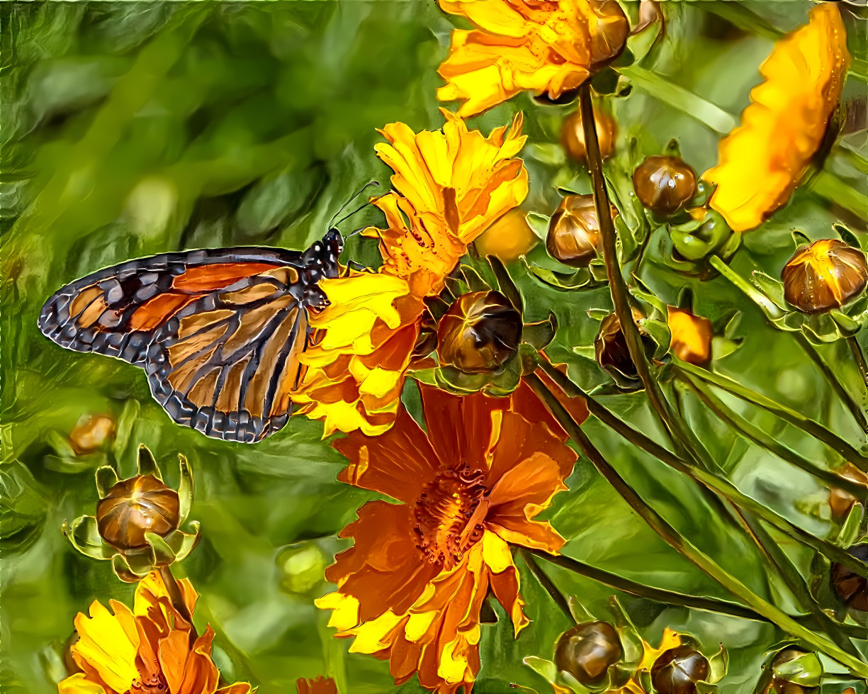Monarch in the Garden