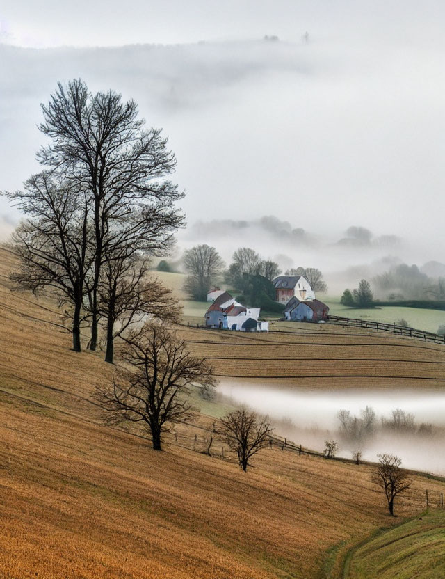 Tranquil rural landscape with rolling hills and mist-covered fields