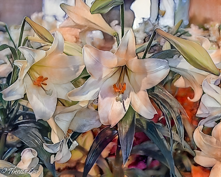 Easter Lilies 