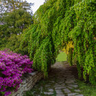Colorful garden path with lush greenery and flowers leading to blue gate under sunny sky