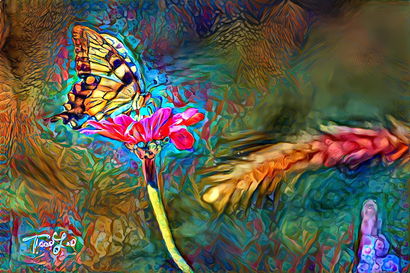 Swallowtail pollinator