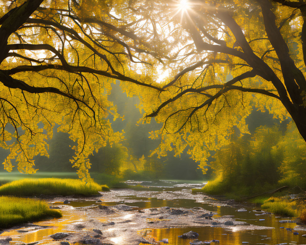 Autumn scene: Sunlight on river with golden leaves and rocks