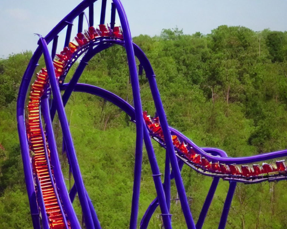 Purple roller coaster train inverting at vertical loop with riders, green trees, clear sky
