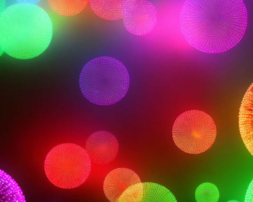 Colorful Glowing Orbs in Pink, Green, Purple, and Orange on Dark Background